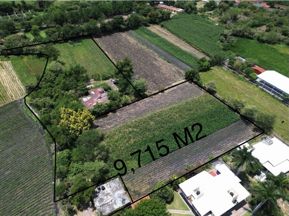 9,715 M2 de terreno en venta en granjas Merida temixco Morelos - 2