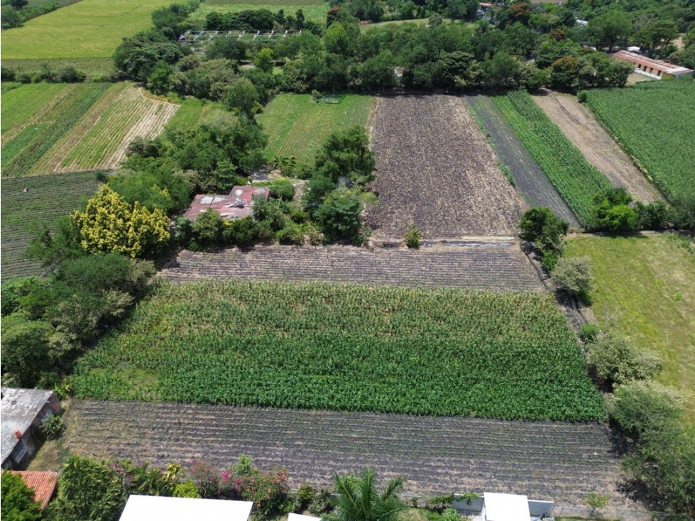 9,715 M2 de terreno en venta en granjas Merida temixco Morelos - 6