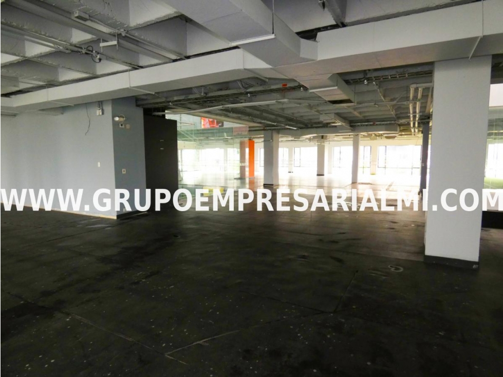 ACOGEDOR LOCAL EN ARRIENDO - SECTOR MILLA DE ORO COD: 31212 — foto 5