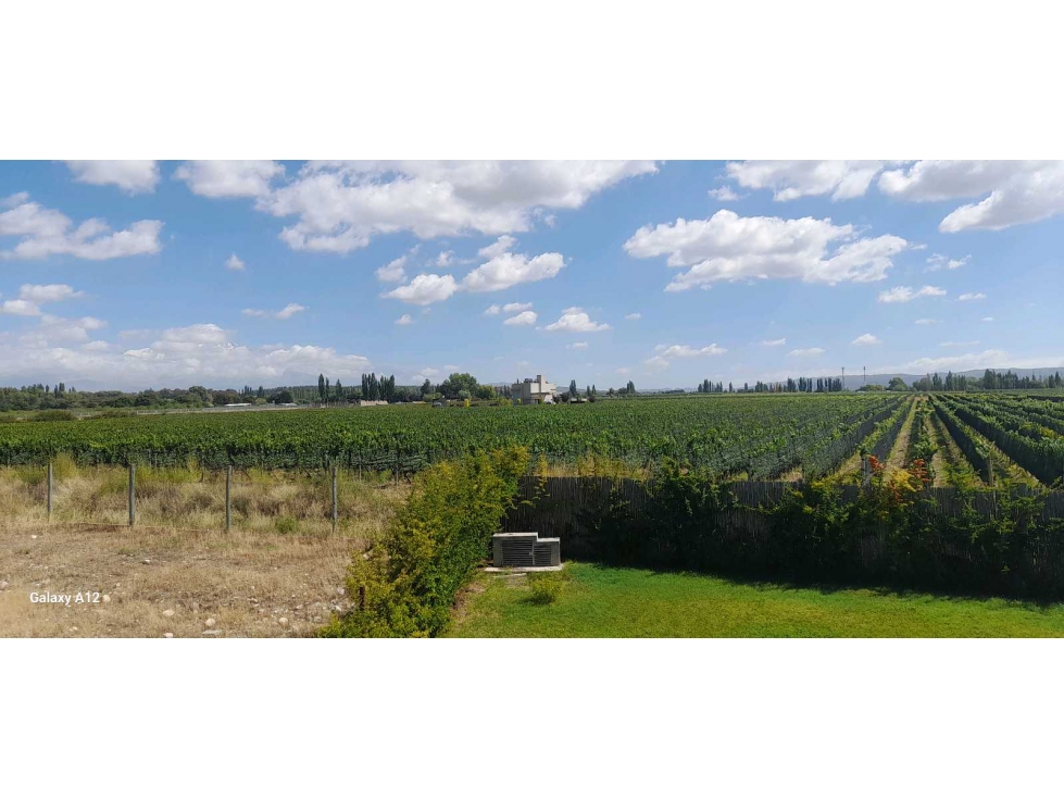 Excelentes terrenos en venta B°CERRADO PIEDRAS BLANCAS TUPUNGATO - 3