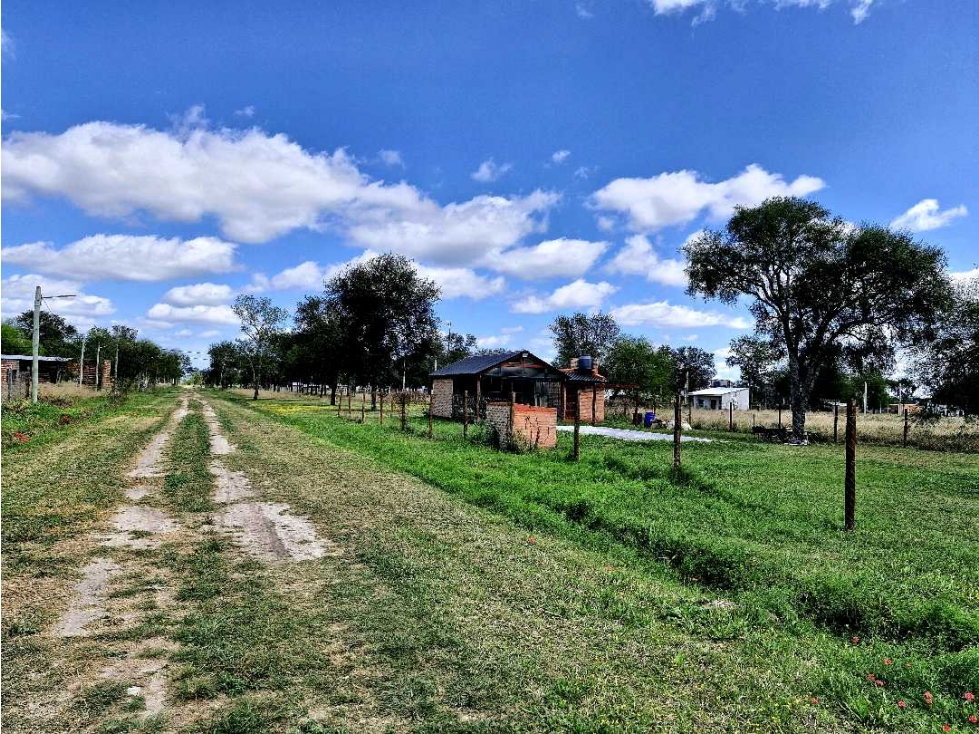 AIRES DE COLONIA (Cnia Popular) - 2