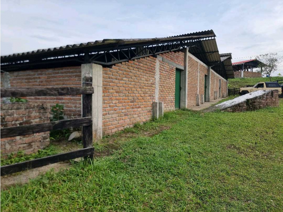 Alquila bodega en Filandia para almacenamiento o cultivo - 1