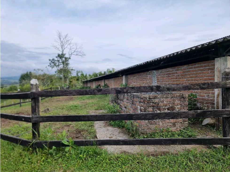 Alquila bodega en Filandia para almacenamiento o cultivo - 2