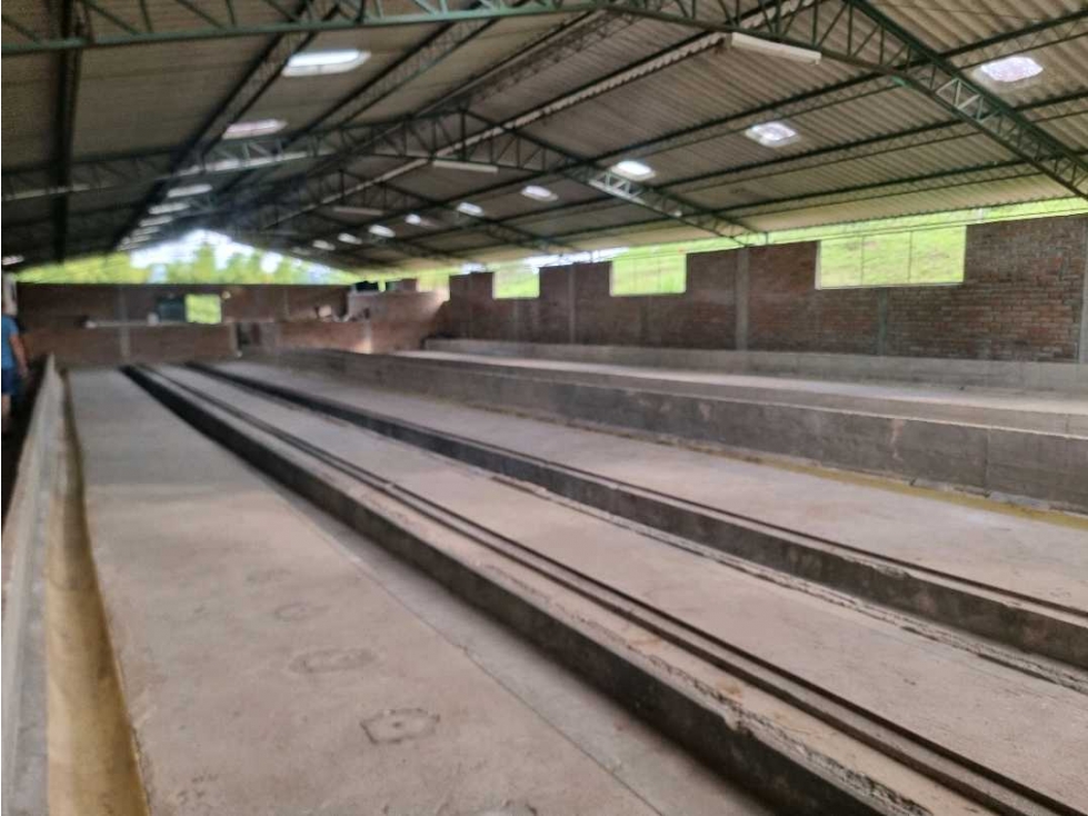 Alquila bodega en Filandia para almacenamiento o cultivo - 6