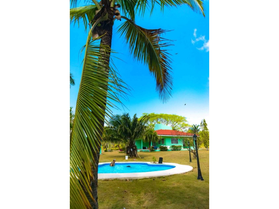 ALQUILO CASA EN CORONADO, CERCA DE TODO Y A PRECIO DE OFERTA - 2