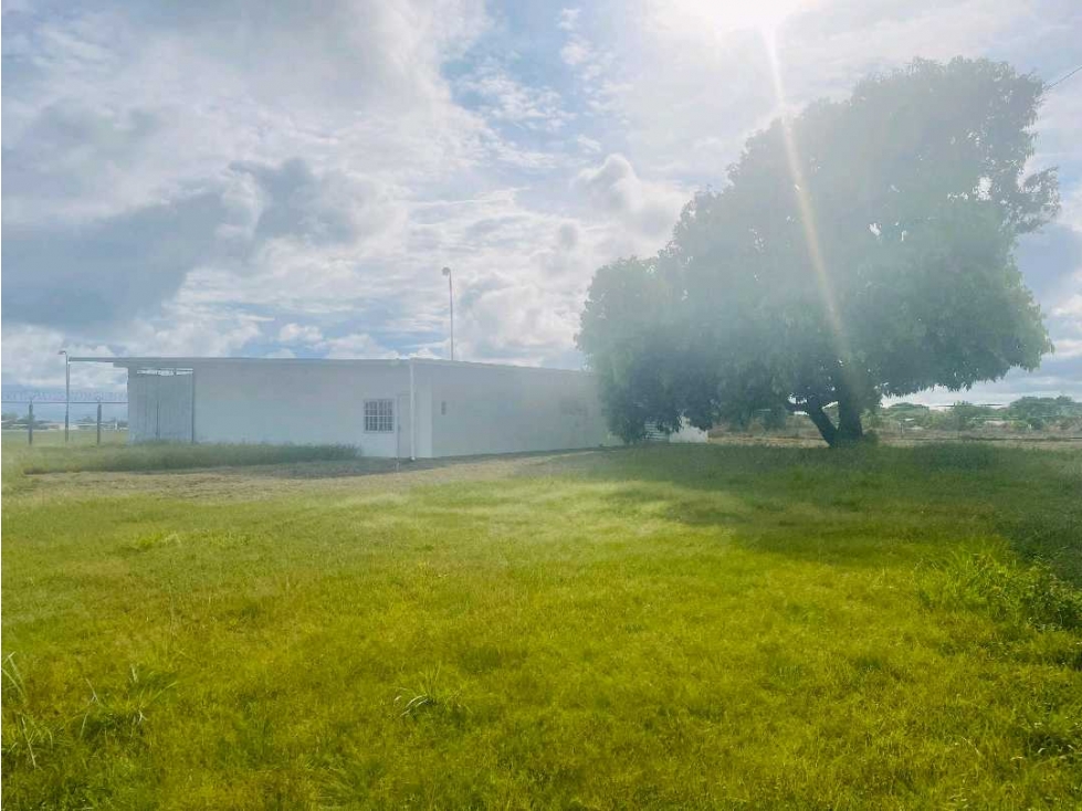 AlQUILER AMPLIA BODEGA EN DAVID - 6