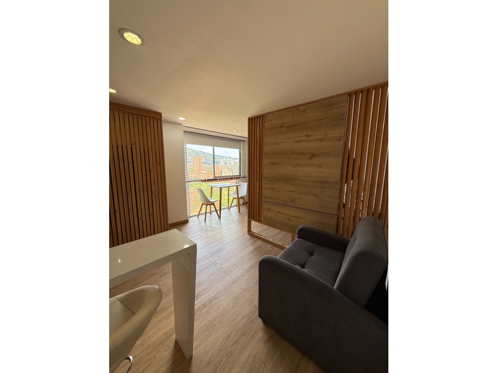 ARRIENDO APARTAESTUDIO AMOBLADO SECTOR EL CAMPESTRE — foto 3