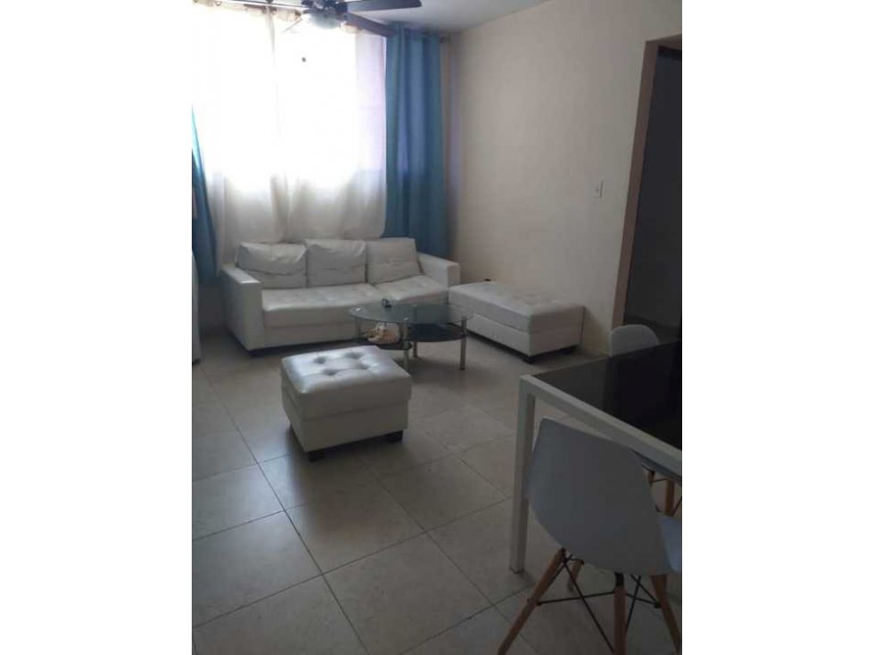 ALQUILER APARTAMENTO AMOBADO LLANO BONITO — foto 6