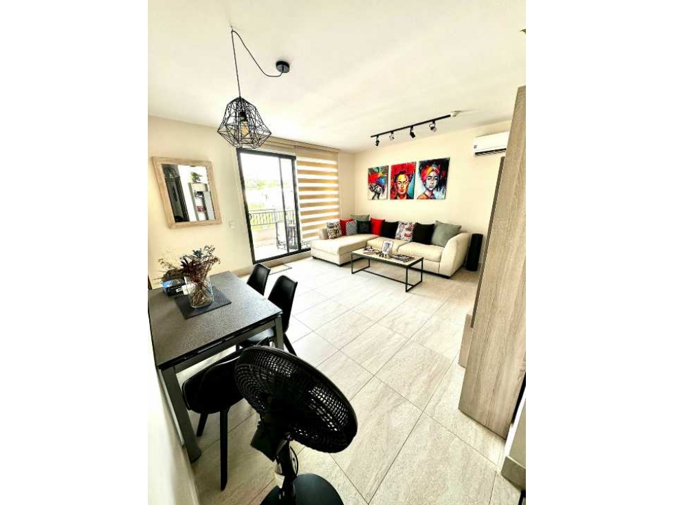 ALQUILER APARTAMENTO AMUEBLADO PH RIVER VALLEY — foto 5