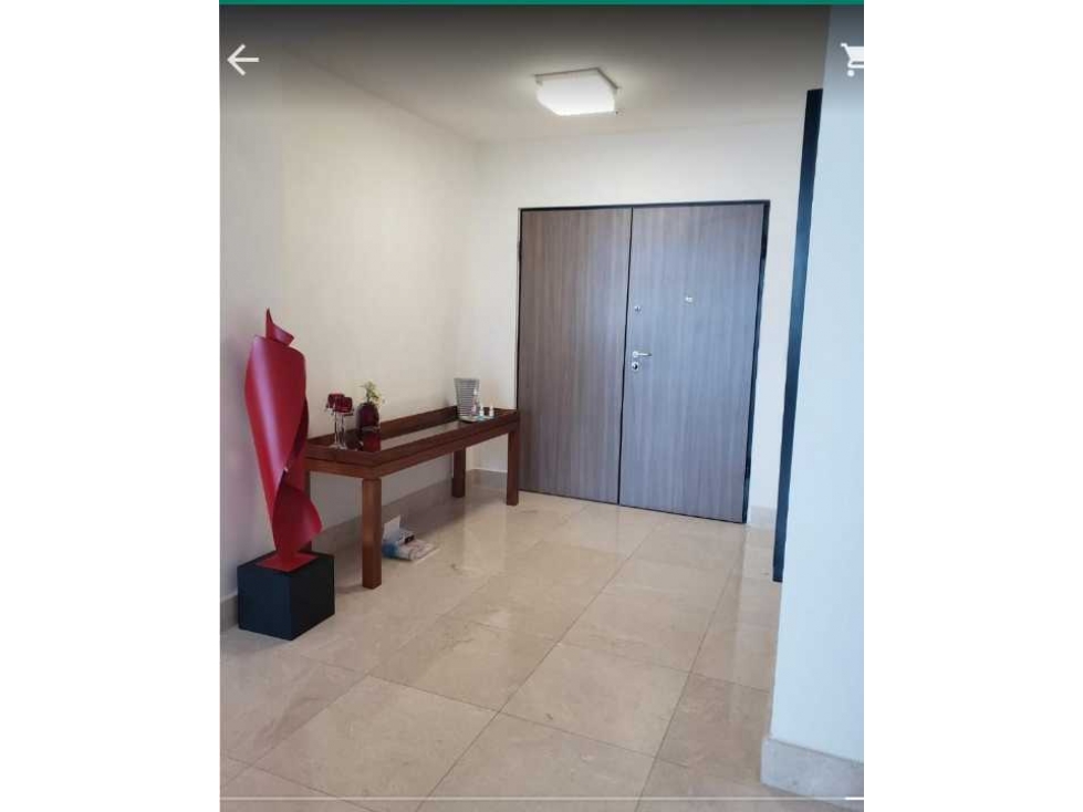 ALQUILER APARTAMENTO EN PAITILLA PH DELUXE LINEA BLANCA — foto 6