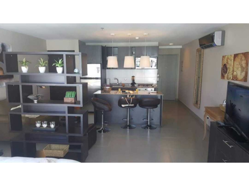 ALQUILER APARTAMENTO AMOBLADO EN PH COLORES TC