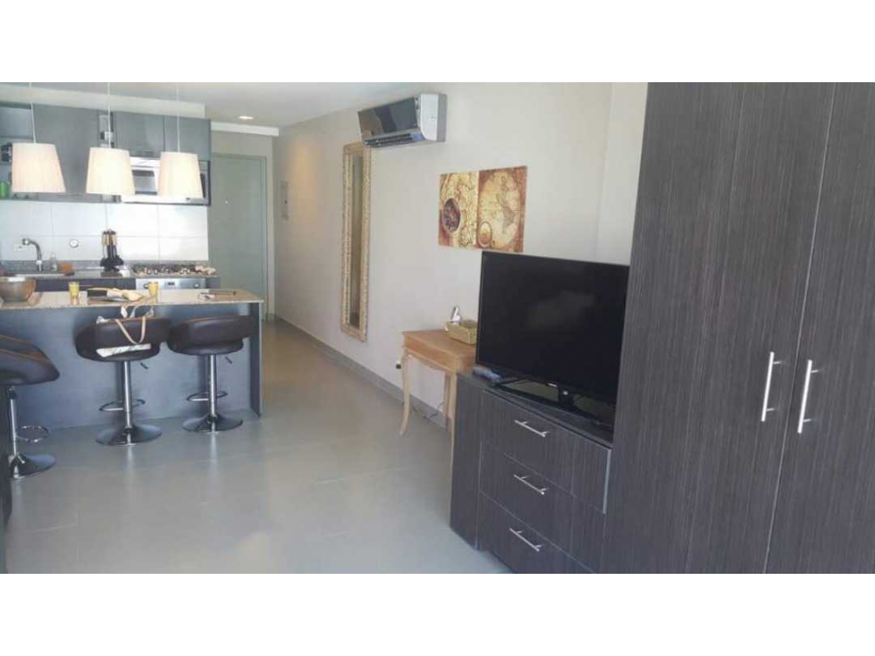 ALQUILER APARTAMENTO AMOBLADO EN PH COLORES TC — foto 2