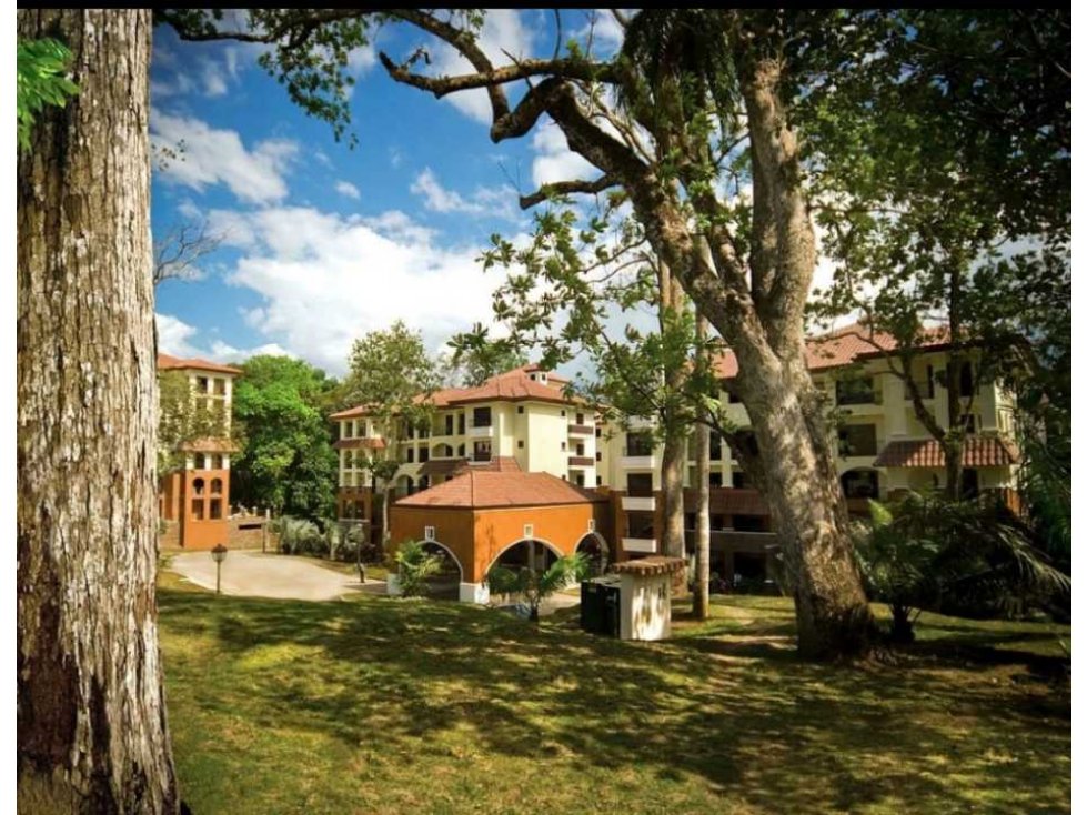 ALQUILER APARTAMENTO CLAYTON