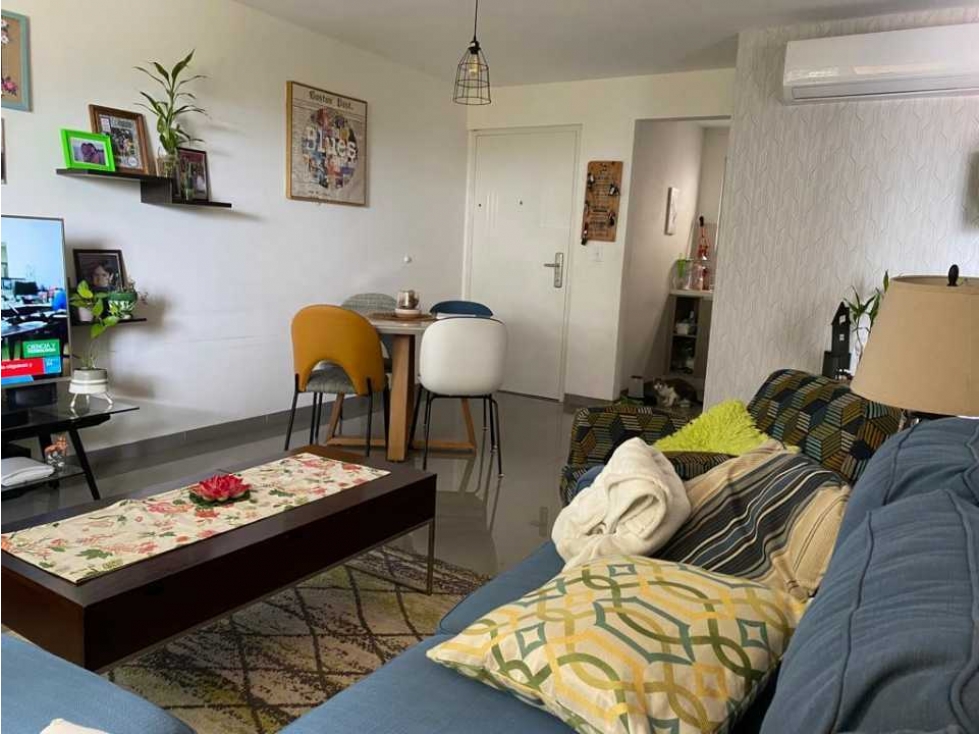 ALQUILER APARTAMENTO PEDREGAL