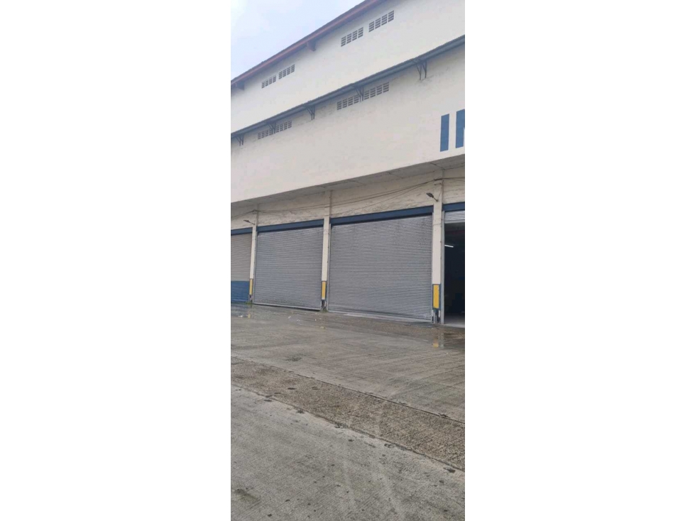 ALQUILER BODEGA FRANCE FIELD ZONA LIBRE 3254M2 4 CONTENEDORES VV — foto 2