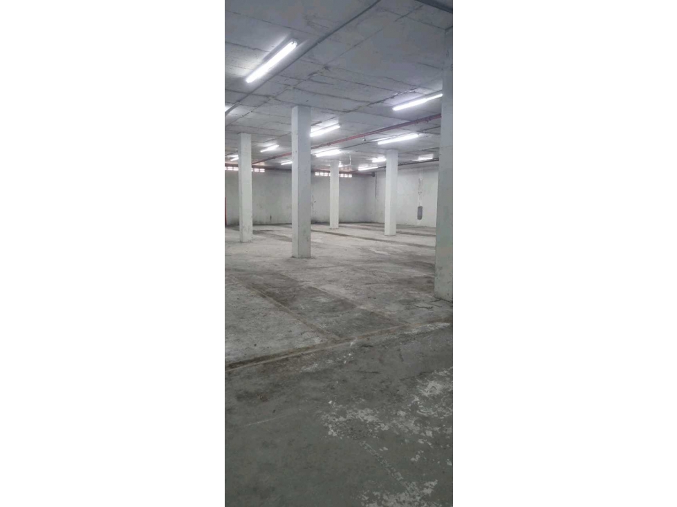 ALQUILER BODEGA FRANCE FIELD ZONA LIBRE 3254M2 4 CONTENEDORES VV — foto 5