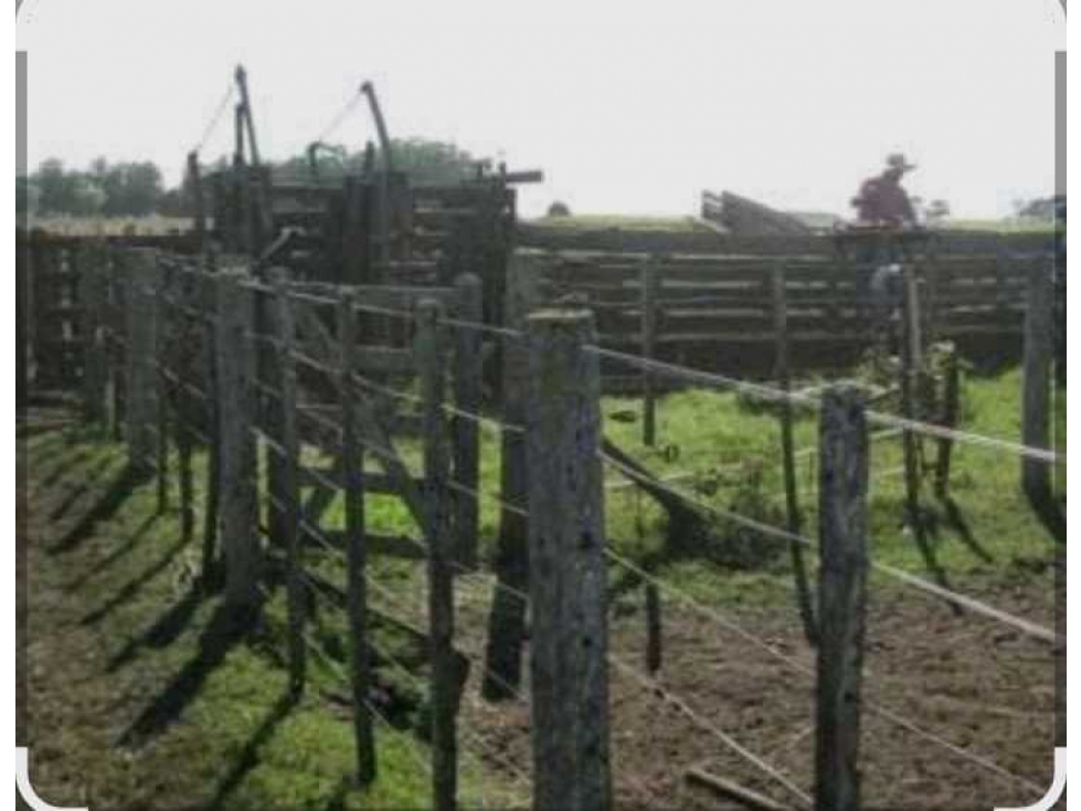CAMPO 1419 HAS, GANADERO, ALTO PENCOSO, SAN LUIS, ARGENTINA - 1