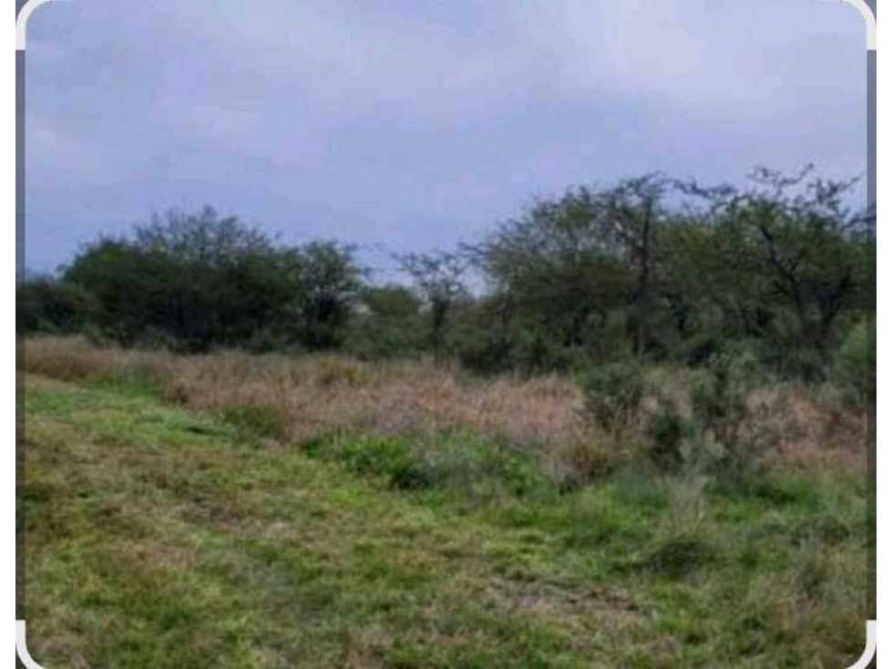 CAMPO 1419 HAS, GANADERO, ALTO PENCOSO, SAN LUIS, ARGENTINA - 2