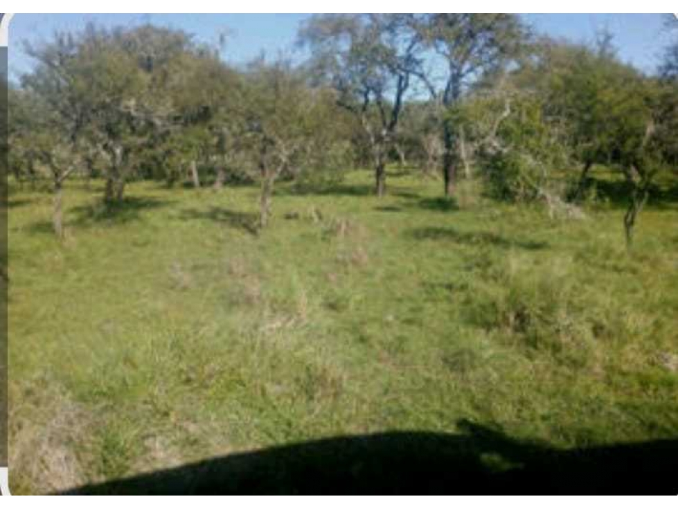 CAMPO 1419 HAS, GANADERO, ALTO PENCOSO, SAN LUIS, ARGENTINA - 3