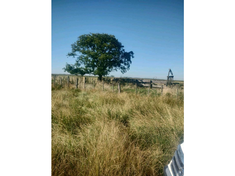 CAMPO 1419 HAS, GANADERO, ALTO PENCOSO, SAN LUIS, ARGENTINA - 4