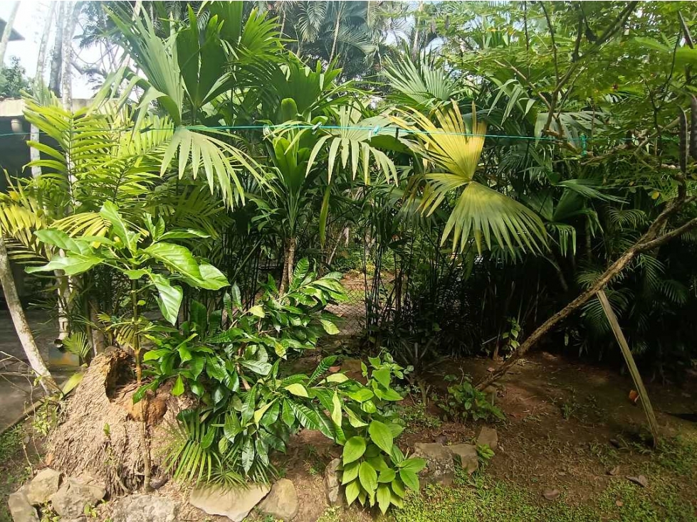 ALQUILER CASA EN ANCON RODEADA DE NATURALEZA E HISTORIA NRR — foto 4