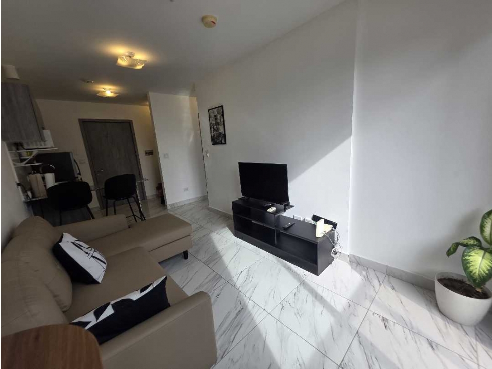 Alquiler de Apartamento en el PH The Gray, Bella Vista - 5