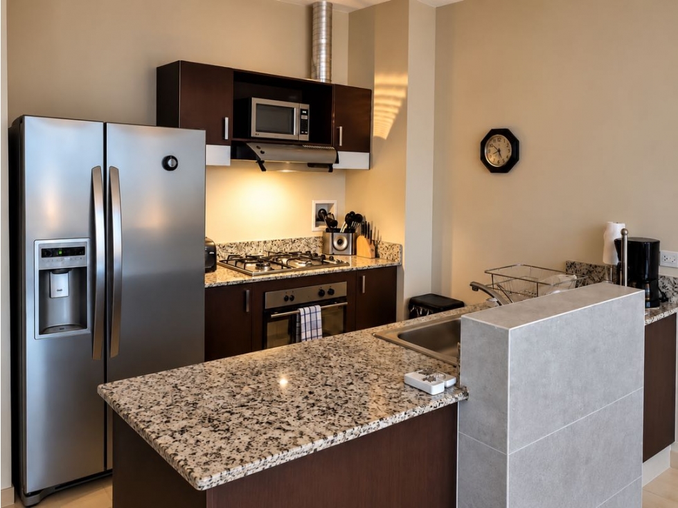 ALQUILER DE APARTAMENTO PH VITRO LOFT EL CANGREJO AMOBLADO JP - 6