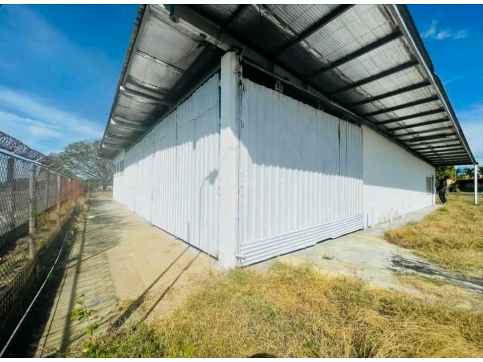 ALQUILER DE BODEGA O DEPOSITO EN DAVID CON OFICINAS - 3
