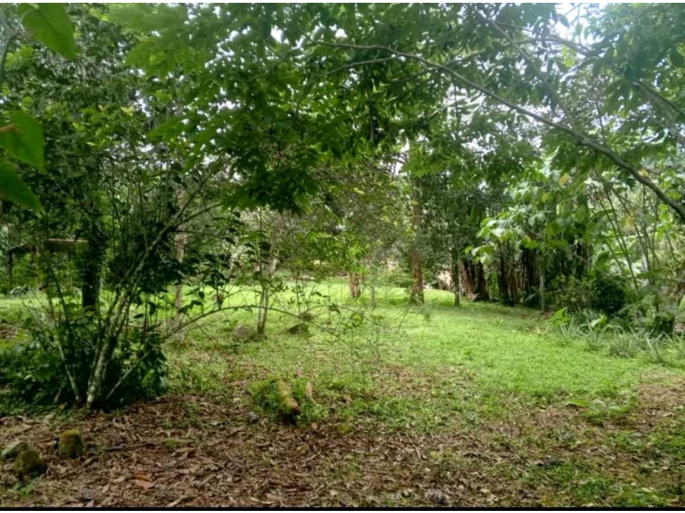 ALQUILER DE CASA EN BUGABA - 6