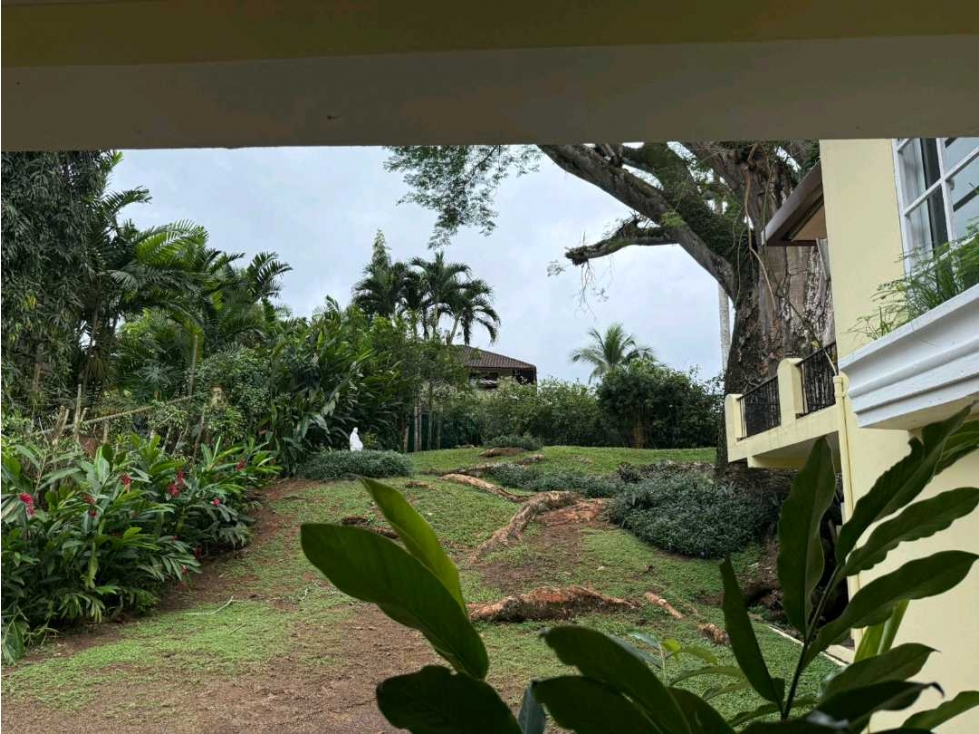 ALQUILER DE CASA EN CLAYTON 5 RECAMARAS — foto 4