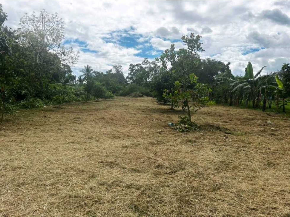 ALQUILER DE CASA EN CORREGIMIEMTO DE CHIRIQUI — foto 6