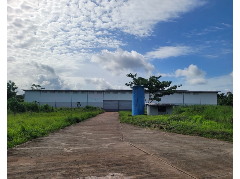 Venta de galera/depósito en Arraiján — foto 5