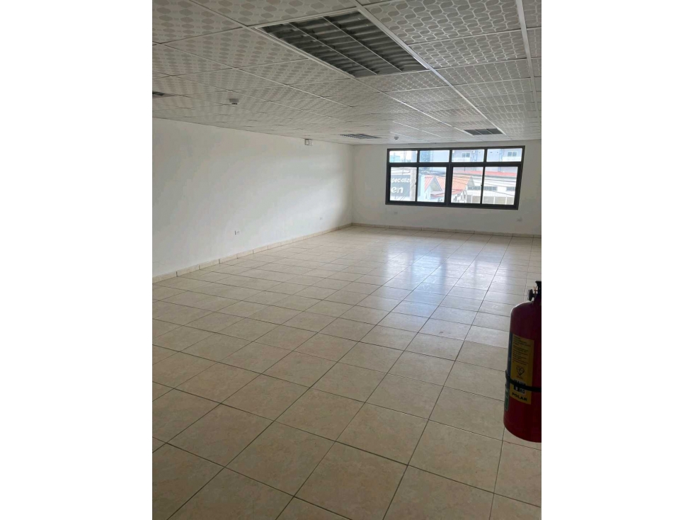 ALQUILER DE LOCAL COMERCIAL EN DOLEGUITA DE 45 y 56 METROS PLANTA ALTA — foto 3