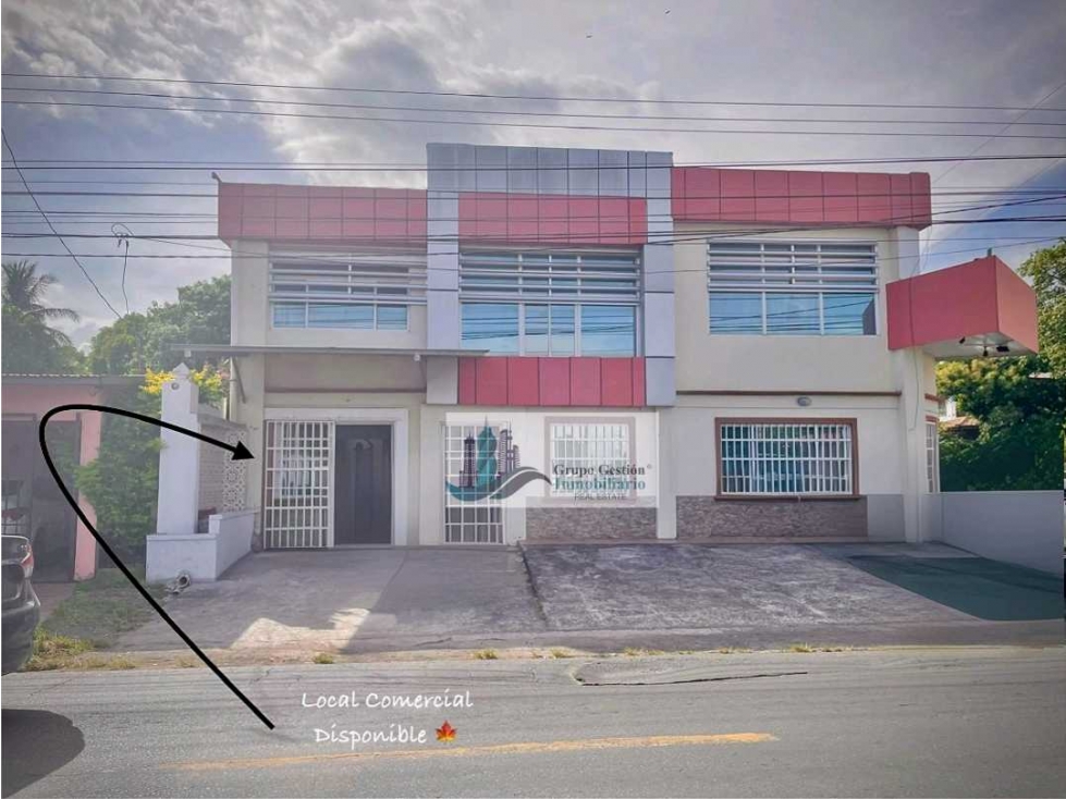 ALQUILER DE LOCAL COMERCIAL EN DAVID CENTRICO