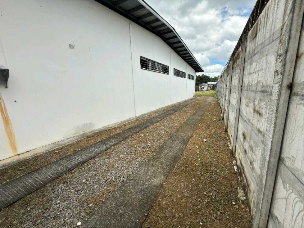 ALQUILER DE LOCAL COMERCIAL EN DAVID CON CARGA Y DESCARGA 133 METROS — foto 6