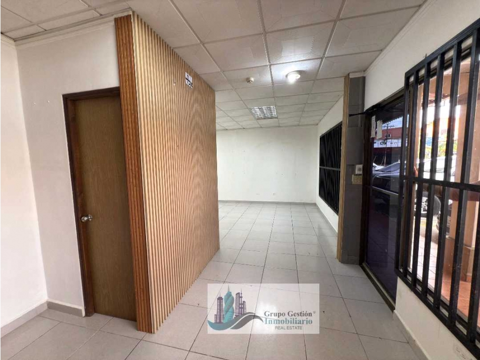 ALQUILER DE LOCAL COMERCIAL EN DAVID PLAZA MAYORCA — foto 2
