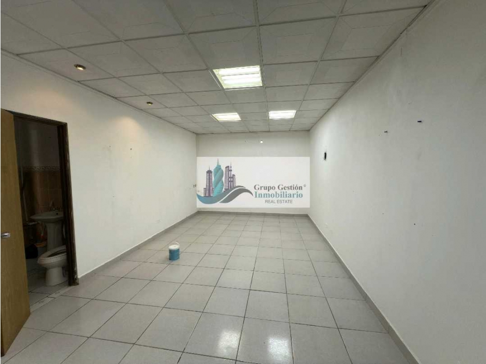 ALQUILER DE LOCAL COMERCIAL EN DAVID PLAZA MAYORCA — foto 3