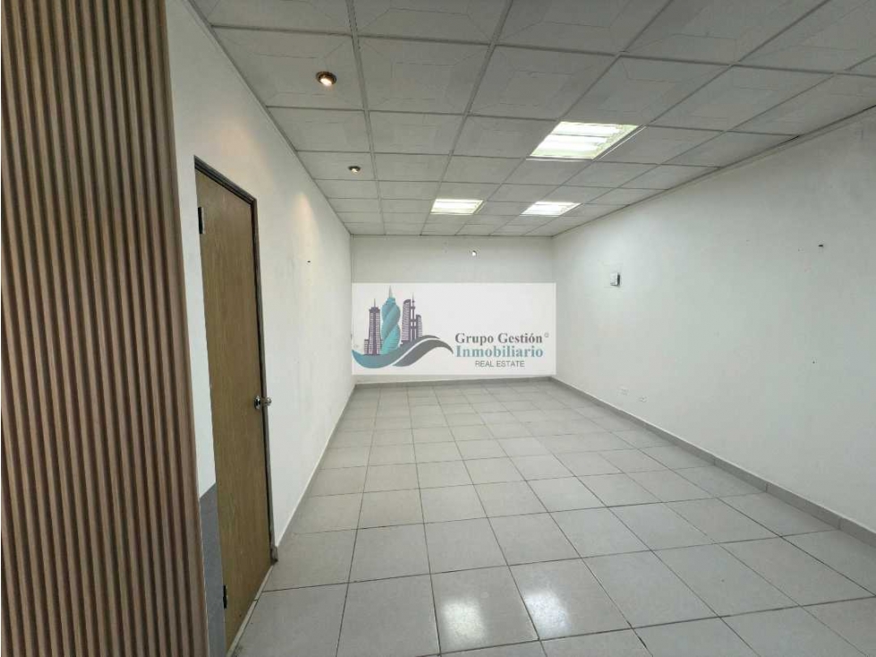 ALQUILER DE LOCAL COMERCIAL EN DAVID PLAZA MAYORCA — foto 4