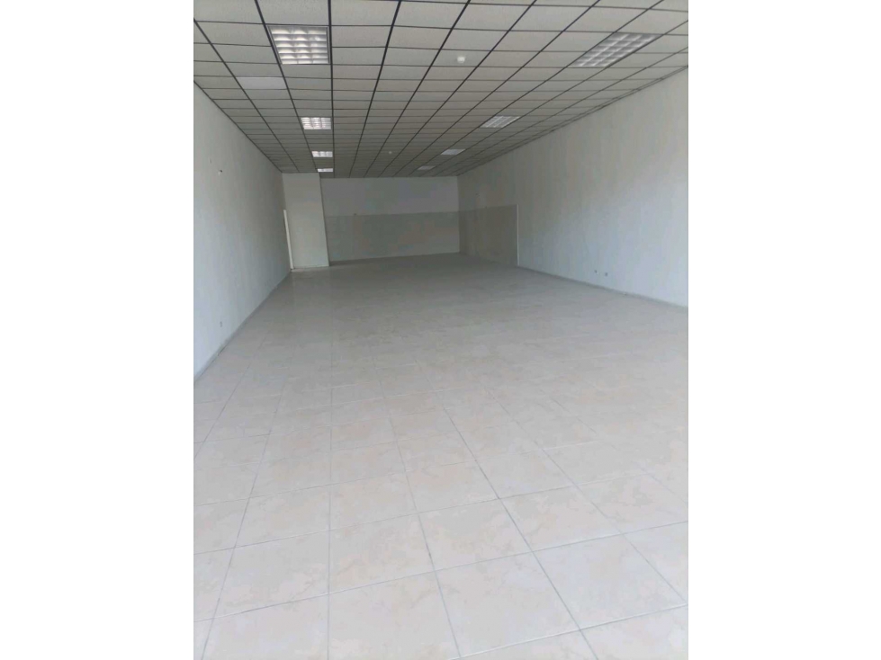 ALQUILER DE LOCAL COMERCIAL EN DAVID EN EL CENTRO