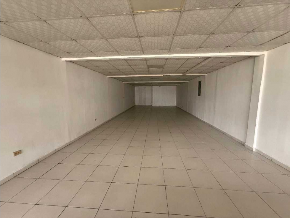 ALQUILER DE LOCAL COMERCIAL EN DAVID DOLEGUITA
