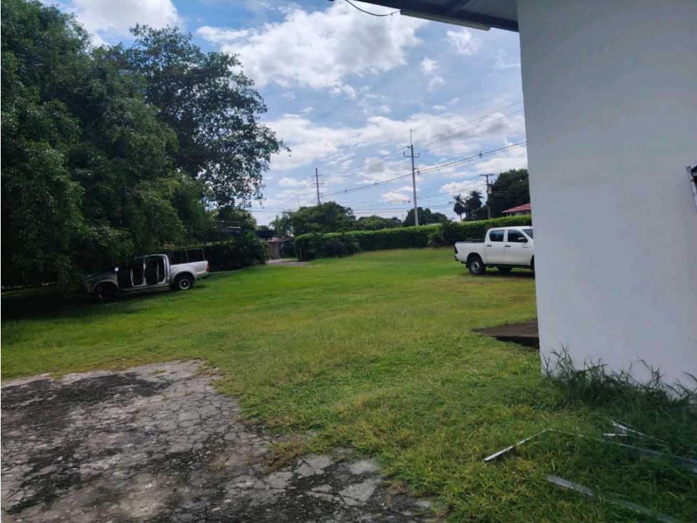 ALQUILER DE LOCAL COMERCIALEN DAVID 400 MTS2 — foto 5