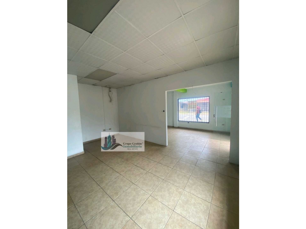 ALQUILER DE LOCAL COMERCIAL EN DAVID EN TODO EL CENTRO. — foto 4