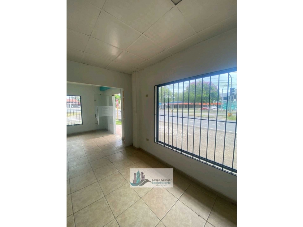 ALQUILER DE LOCAL COMERCIAL EN DAVID EN TODO EL CENTRO. — foto 5