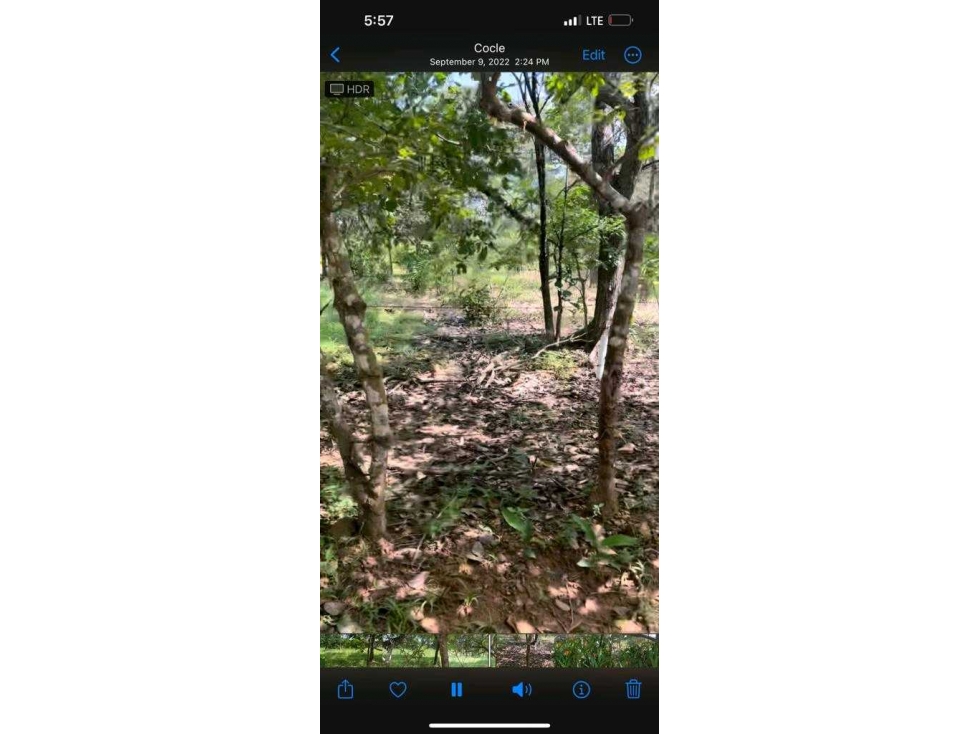VENTA DE TERRENO EN RIO GRANDE PENONOMÉ - 4