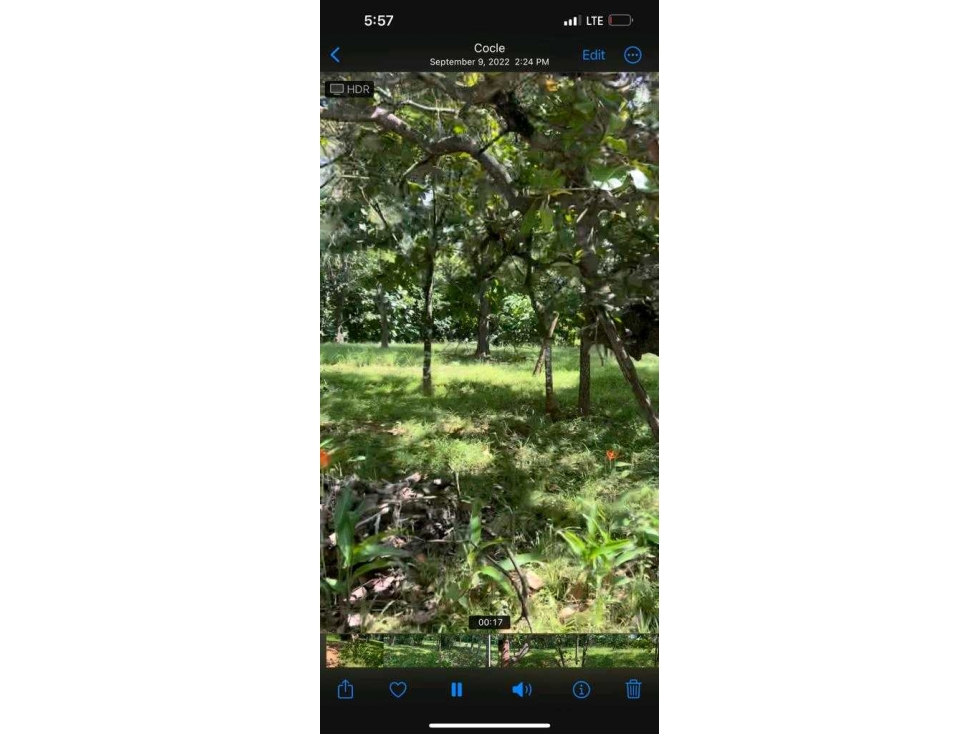 VENTA DE TERRENO EN RIO GRANDE PENONOMÉ - 6