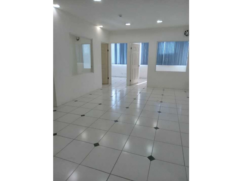 ALQUILER GALERA EN AVENIDA DOMINGO DIAZ — foto 3
