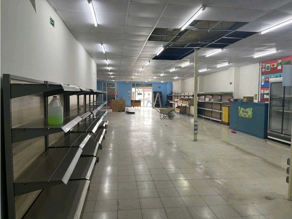 ALQUILER LOCAL 2000 M2 PLANTA BAJA AVENIDA CENTRAL CALIDONIA PT - 2