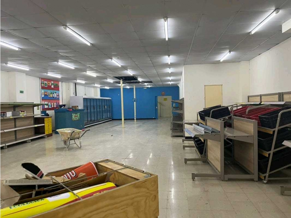 ALQUILER LOCAL 2000 M2 PLANTA BAJA AVENIDA CENTRAL CALIDONIA PT - 3