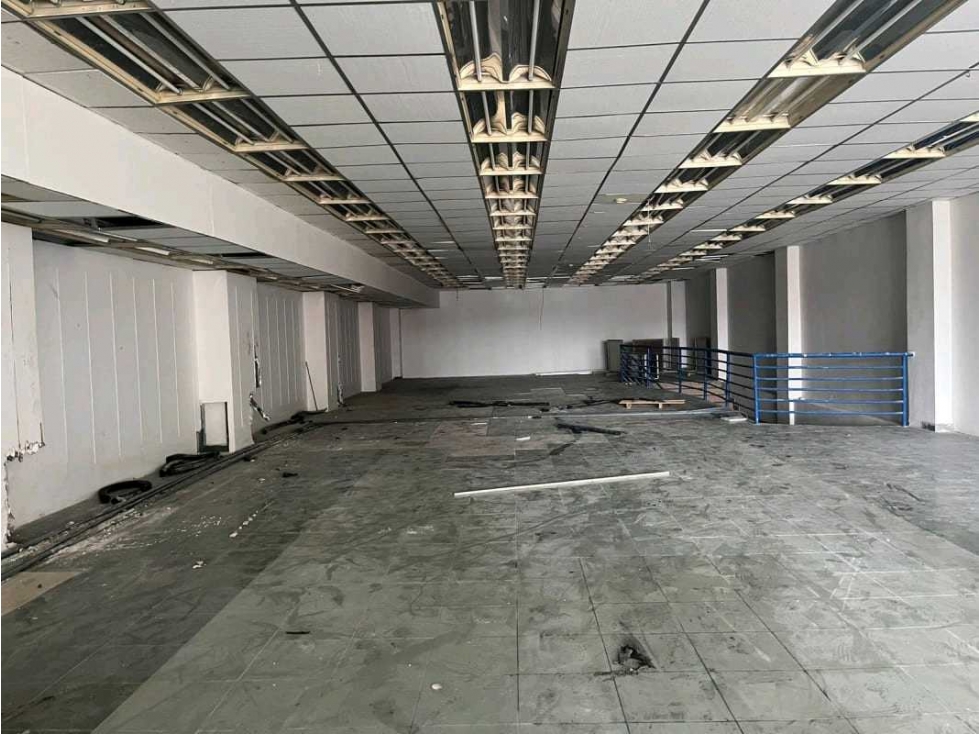 ALQUILER LOCAL 2000 M2 PLANTA BAJA AVENIDA CENTRAL CALIDONIA PT - 5