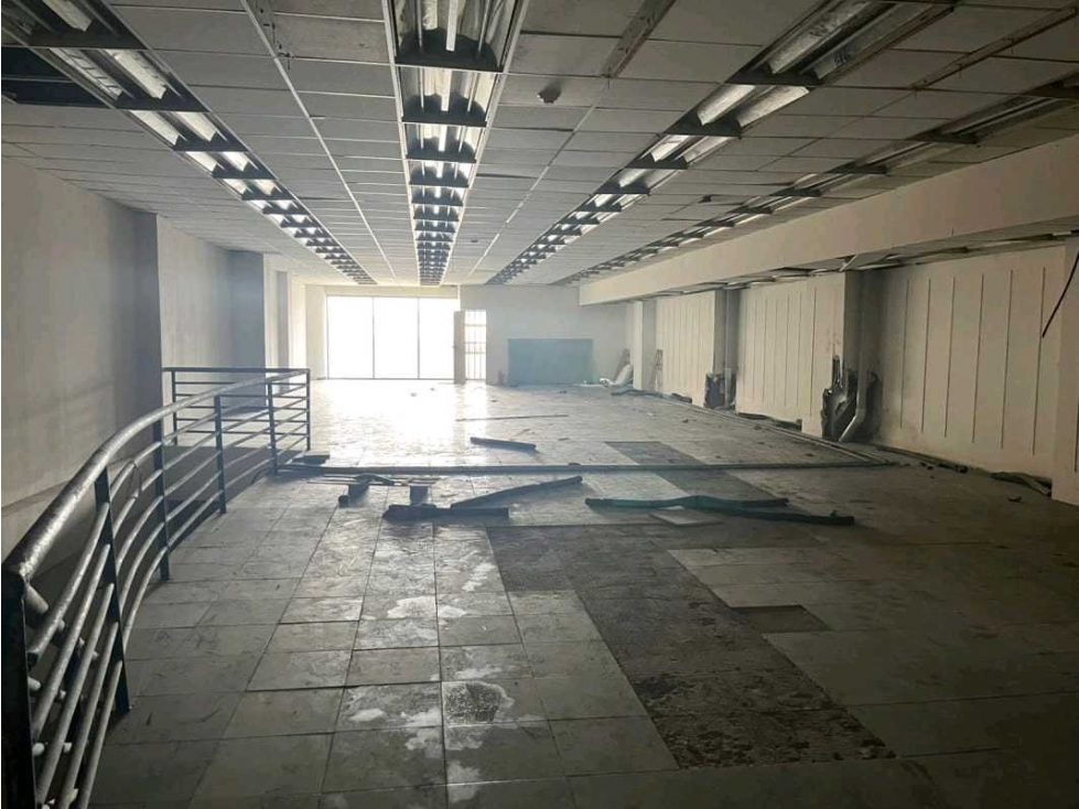 ALQUILER LOCAL 2000 M2 PLANTA BAJA AVENIDA CENTRAL CALIDONIA PT - 6